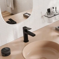 Смеситель для раковины в ванную WasserKRAFT, черный