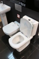 Унитаз-компакт напольный Roca Dama senso Dama Senso 342517000 Унитаз-компакт напольный Roca Dama senso Dama Senso 342517000