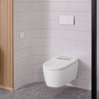 Кнопка смыва Geberit Sigma 70 115.622.FW.1 матовая нержавеющая сталь