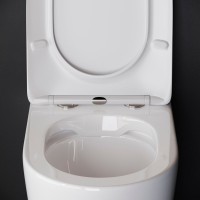 Унитаз приставной напольный Ceramicanova Highlight Rimless CN1812 с микролифтом, безободковый