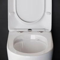 Унитаз приставной напольный Ceramicanova Highlight Rimless CN1812 с микролифтом, безободковый