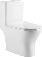 Унитаз-моноблок напольный BelBagno Lounge BB8618CPR-MN/SC безободковый, с микролифтом