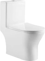Унитаз-моноблок напольный BelBagno Lounge BB8618CPR-MN/SC безободковый, с микролифтом