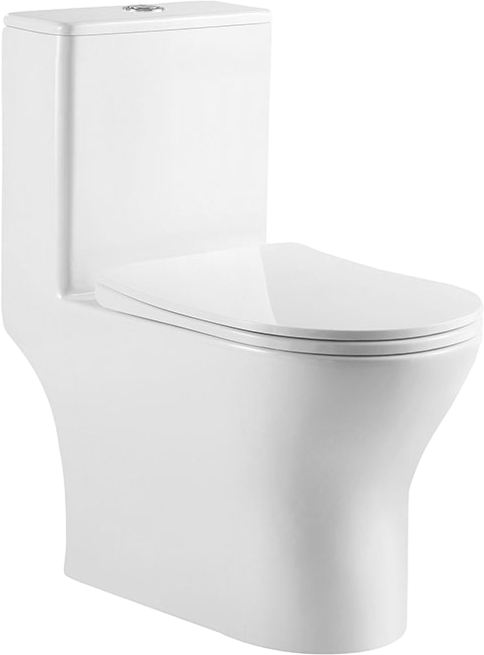 Унитаз-моноблок напольный BelBagno Lounge BB8618CPR-MN/SC безободковый, с микролифтом