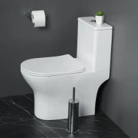 Унитаз-моноблок напольный BelBagno Lounge BB8618CPR-MN/SC безободковый, с микролифтом
