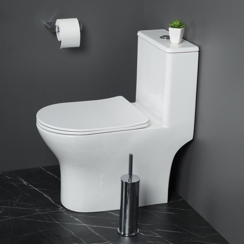 Унитаз-моноблок напольный BelBagno Lounge BB8618CPR-MN/SC безободковый, с микролифтом
