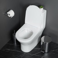 Унитаз-моноблок напольный BelBagno Lounge BB8618CPR-MN/SC безободковый, с микролифтом