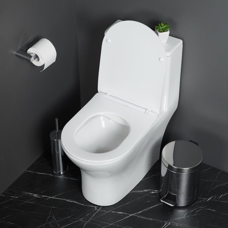Унитаз-моноблок напольный BelBagno Lounge BB8618CPR-MN/SC безободковый, с микролифтом