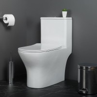 Унитаз-моноблок напольный BelBagno Lounge BB8618CPR-MN/SC безободковый, с микролифтом