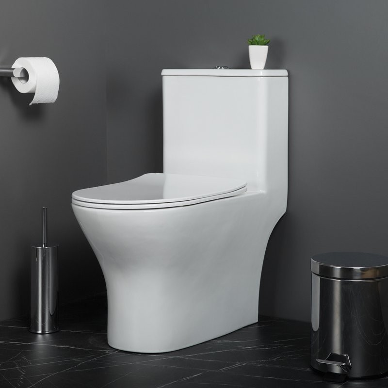 Унитаз-моноблок напольный BelBagno Lounge BB8618CPR-MN/SC безободковый, с микролифтом
