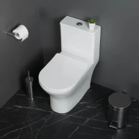 Унитаз-моноблок напольный BelBagno Lounge BB8618CPR-MN/SC безободковый, с микролифтом