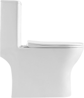 Унитаз-моноблок напольный BelBagno Lounge BB8618CPR-MN/SC безободковый, с микролифтом