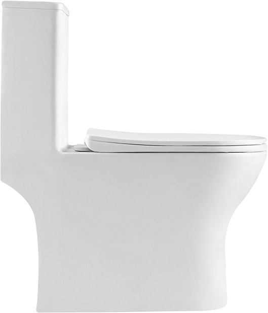 Унитаз-моноблок напольный BelBagno Lounge BB8618CPR-MN/SC безободковый, с микролифтом