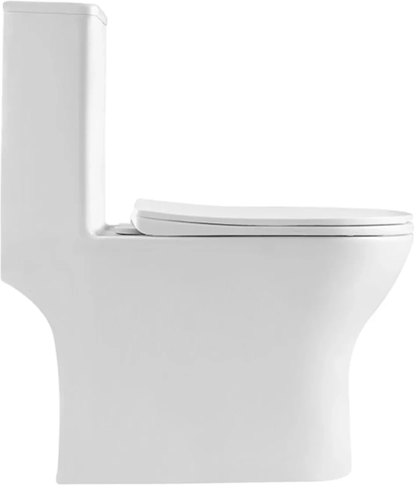Унитаз-моноблок напольный BelBagno Lounge BB8618CPR-MN/SC безободковый, с микролифтом