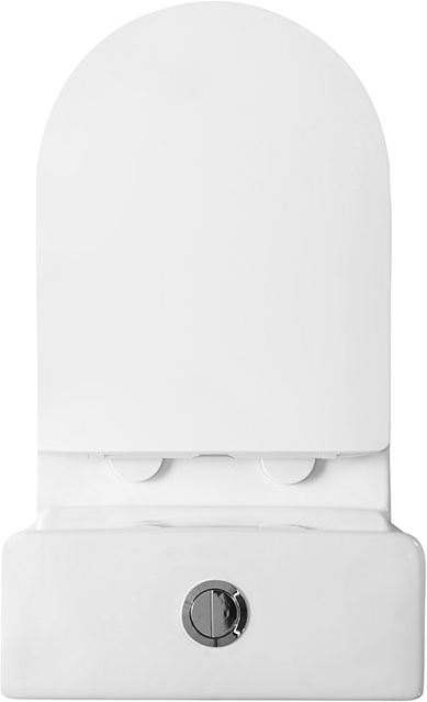 Унитаз-моноблок напольный BelBagno Lounge BB8618CPR-MN/SC безободковый, с микролифтом