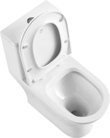 Унитаз-моноблок напольный BelBagno Lounge BB8618CPR-MN/SC безободковый, с микролифтом