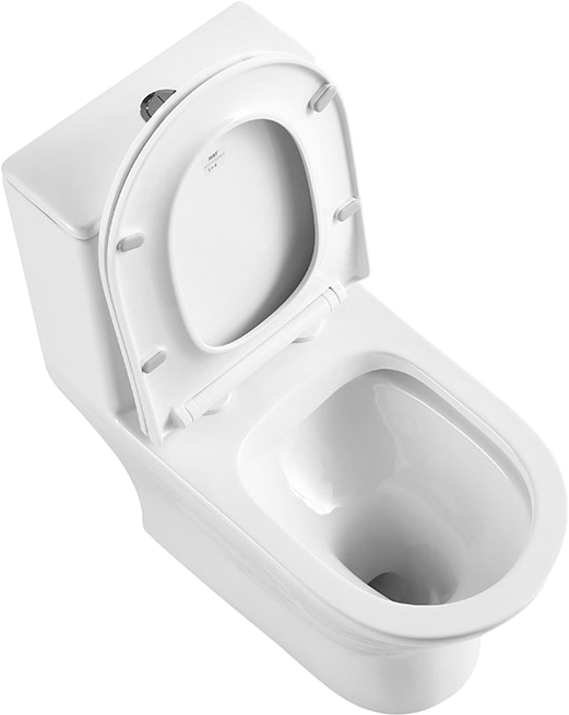 Унитаз-моноблок напольный BelBagno Lounge BB8618CPR-MN/SC безободковый, с микролифтом