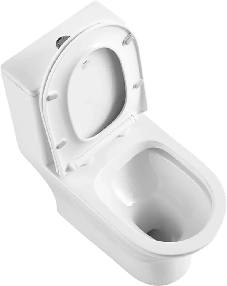 Унитаз-моноблок напольный BelBagno Lounge BB8618CPR-MN/SC безободковый, с микролифтом