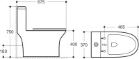 Унитаз-моноблок напольный BelBagno Lounge BB8618CPR-MN/SC безободковый, с микролифтом