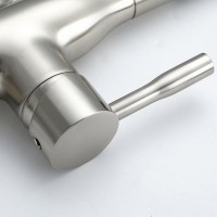 Смеситель для кухни Frap H69 F4396-5 сатин