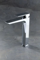 Смеситель для раковины Allen Brau Infinity 5.21002-00