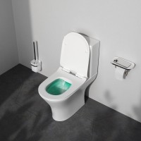 Унитаз-компакт напольный AM.PM Sense C748600SC FlashClean, безободковый, с микролифтом