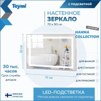 Зеркало в ванную с подсветкой Teymi Hanna 70х50 LED T20250