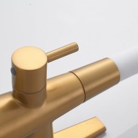 Смеситель для кухни Shevanik S668G с гибким изливом, золотой сатин, белый