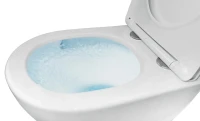 Унитаз подвесной AZARIO Trevi AZ-0093UQ3 глянцевый белый Унитаз подвесной AZARIO Trevi AZ-0093UQ3 глянцевый белый