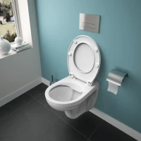 Унитаз подвесной Ideal Standard Eurovit K881201 безободковый Унитаз подвесной Ideal Standard Eurovit K881201 безободковый
