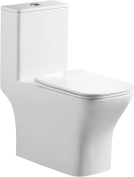 Унитаз-моноблок напольный BelBagno Neon BB8617CPR-MN/SC безободковый, с микролифтом