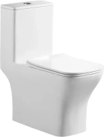 Унитаз-моноблок напольный BelBagno Neon BB8617CPR-MN/SC безободковый, с микролифтом