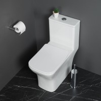 Унитаз-моноблок напольный BelBagno Neon BB8617CPR-MN/SC безободковый, с микролифтом