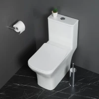 Унитаз-моноблок напольный BelBagno Neon BB8617CPR-MN/SC безободковый, с микролифтом