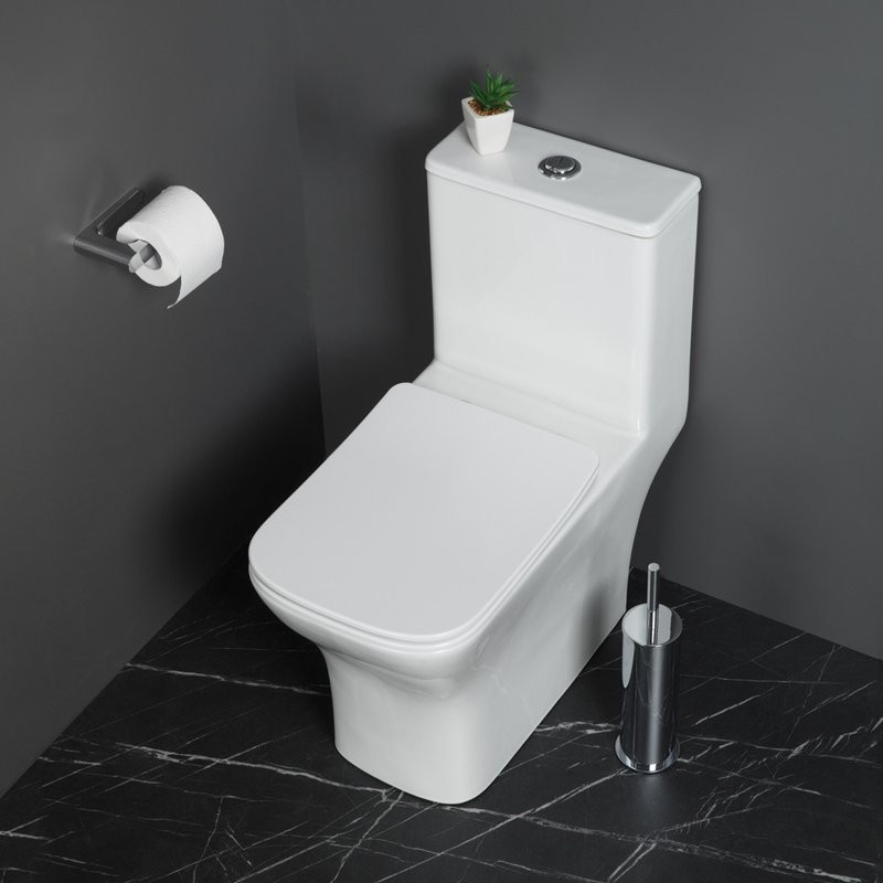 Унитаз-моноблок напольный BelBagno Neon BB8617CPR-MN/SC безободковый, с микролифтом