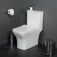 Унитаз-моноблок напольный BelBagno Neon BB8617CPR-MN/SC безободковый, с микролифтом