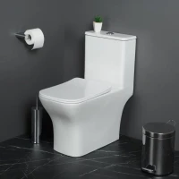 Унитаз-моноблок напольный BelBagno Neon BB8617CPR-MN/SC безободковый, с микролифтом