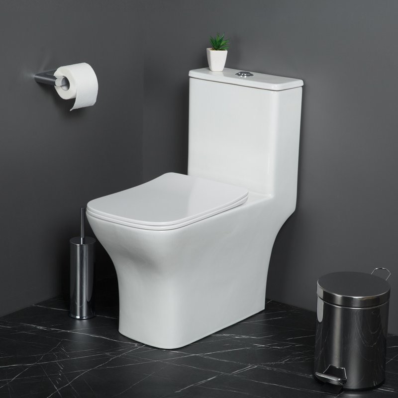 Унитаз-моноблок напольный BelBagno Neon BB8617CPR-MN/SC безободковый, с микролифтом