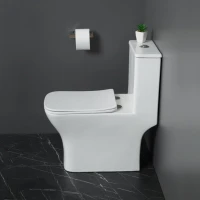 Унитаз-моноблок напольный BelBagno Neon BB8617CPR-MN/SC безободковый, с микролифтом