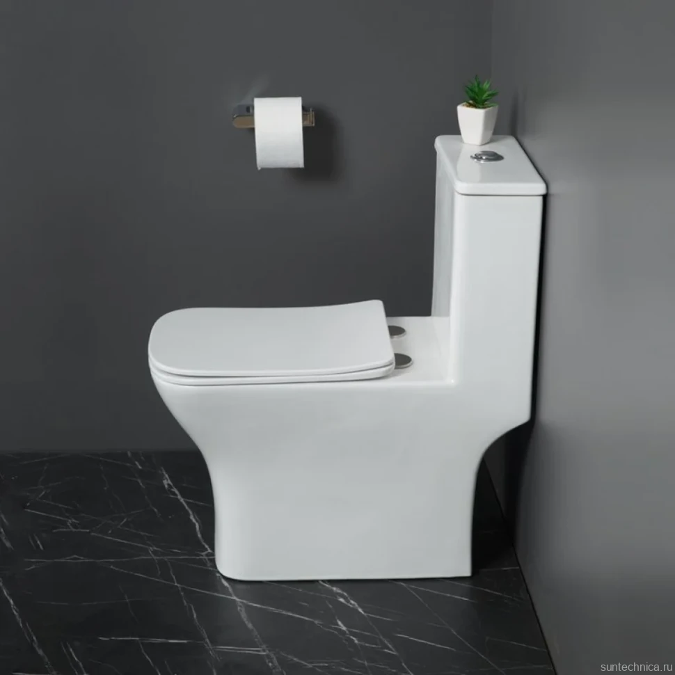 Унитаз-моноблок напольный BelBagno Neon BB8617CPR-MN/SC безободковый, с микролифтом