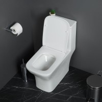 Унитаз-моноблок напольный BelBagno Neon BB8617CPR-MN/SC безободковый, с микролифтом
