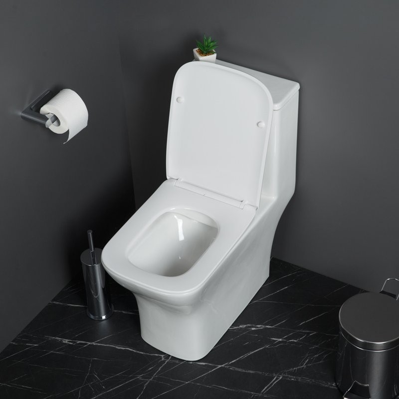 Унитаз-моноблок напольный BelBagno Neon BB8617CPR-MN/SC безободковый, с микролифтом