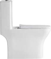Унитаз-моноблок напольный BelBagno Neon BB8617CPR-MN/SC безободковый, с микролифтом