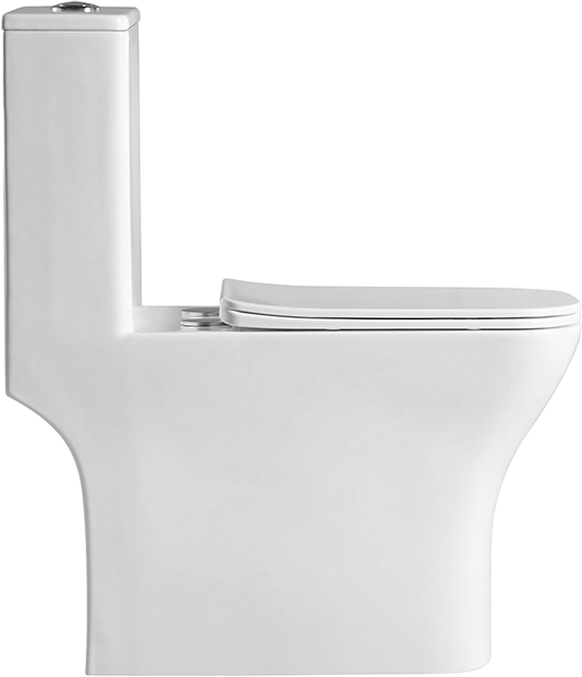 Унитаз-моноблок напольный BelBagno Neon BB8617CPR-MN/SC безободковый, с микролифтом