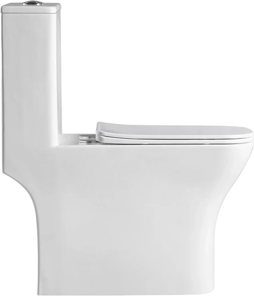 Унитаз-моноблок напольный BelBagno Neon BB8617CPR-MN/SC безободковый, с микролифтом