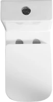Унитаз-моноблок напольный BelBagno Neon BB8617CPR-MN/SC безободковый, с микролифтом