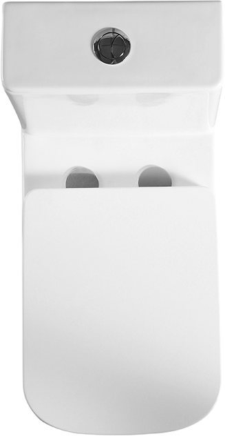 Унитаз-моноблок напольный BelBagno Neon BB8617CPR-MN/SC безободковый, с микролифтом