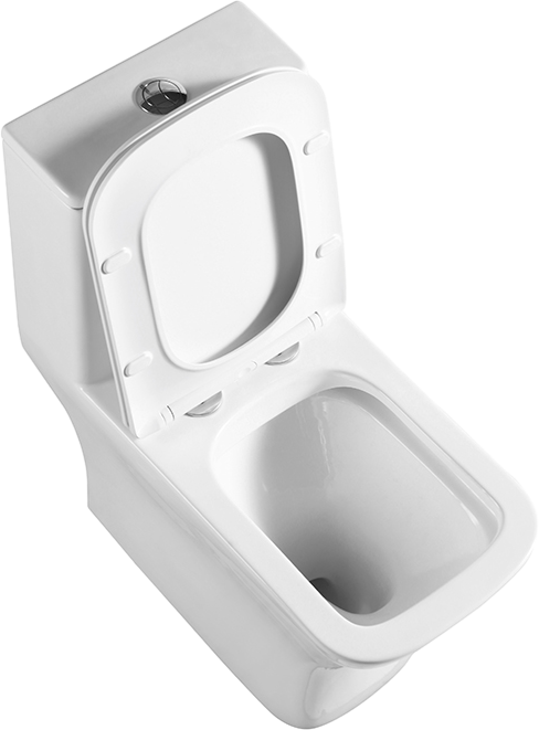 Унитаз-моноблок напольный BelBagno Neon BB8617CPR-MN/SC безободковый, с микролифтом