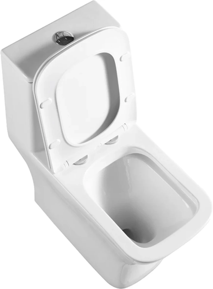 Унитаз-моноблок напольный BelBagno Neon BB8617CPR-MN/SC безободковый, с микролифтом
