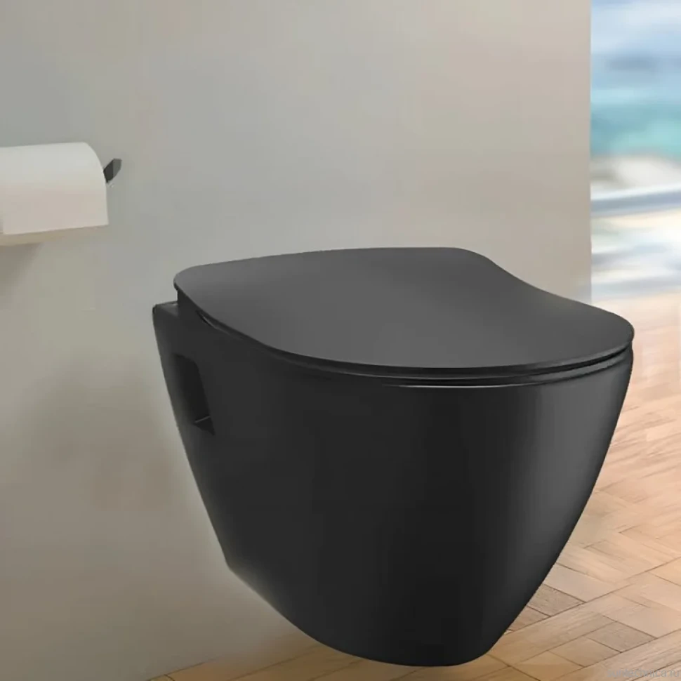 Унитаз подвесной Creavit Free FE320.H0000 с биде, черный